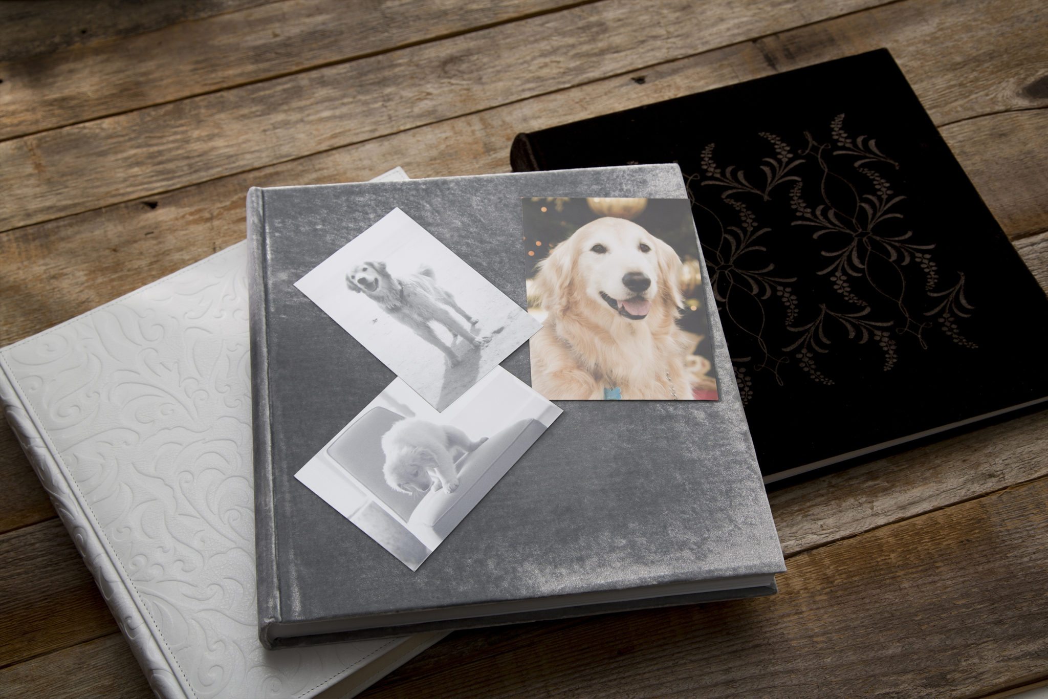 Frames & Albums The Write Touch